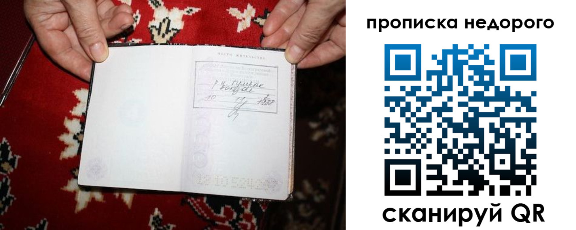 прописка гарантия в Пушкино